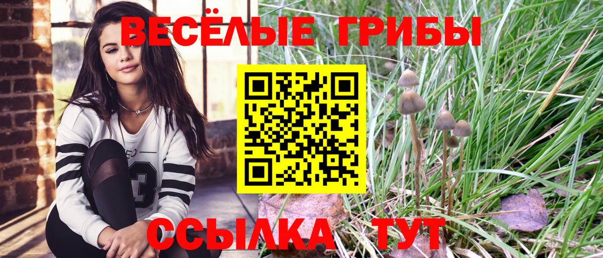 Псилоцибиновые грибы Magic Shrooms Ликино-Дулёво